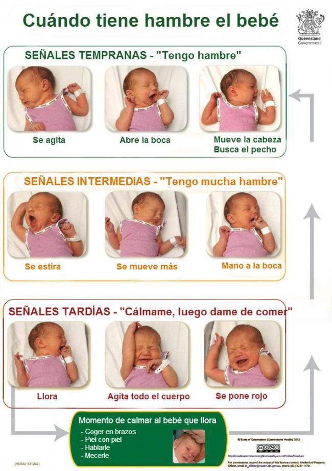 biberon bebe 3 semanas