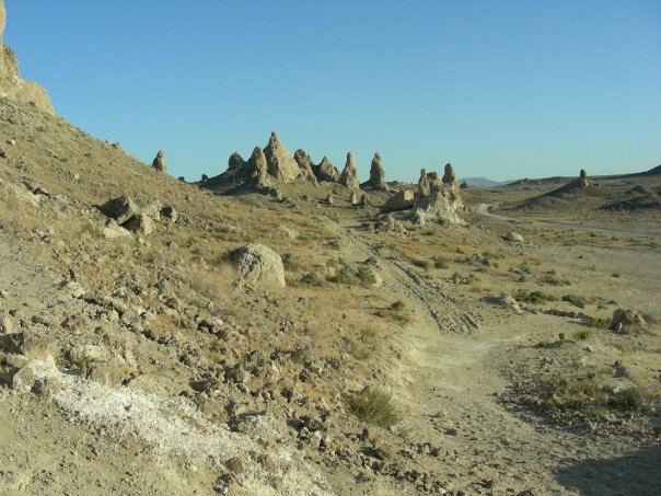 trona be cool picnic