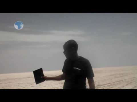trona salt